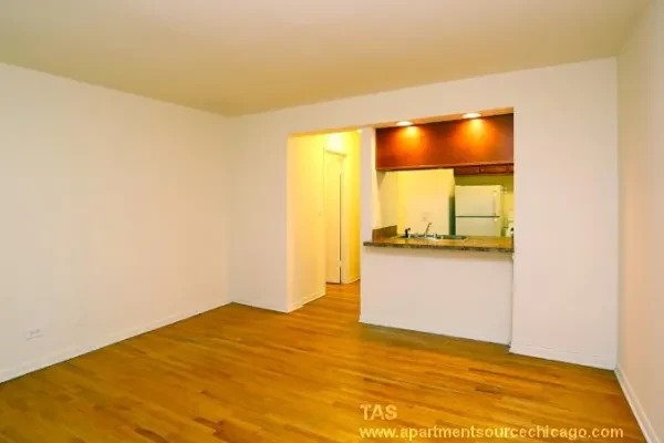 540 West Roscoe Street #486