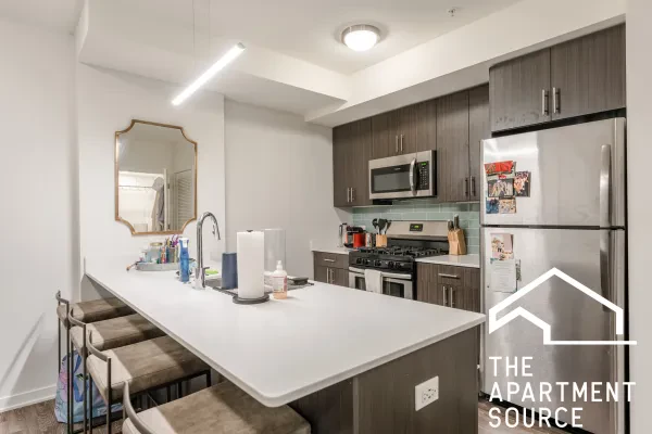 1325 North Wells Street #603