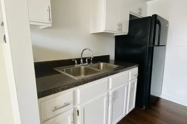 1550 West 95th Street #303
