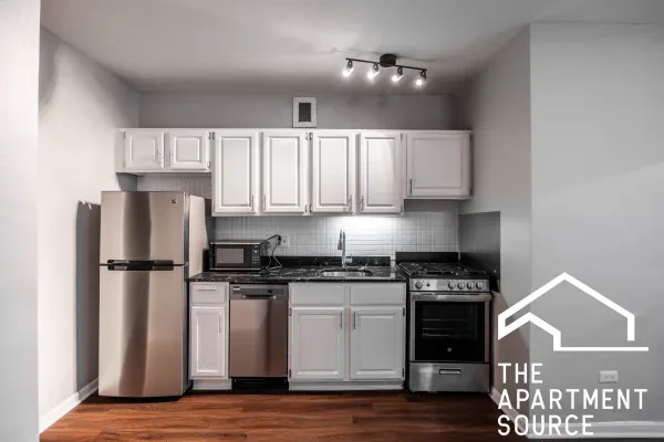 1140 North Lasalle Drive #815