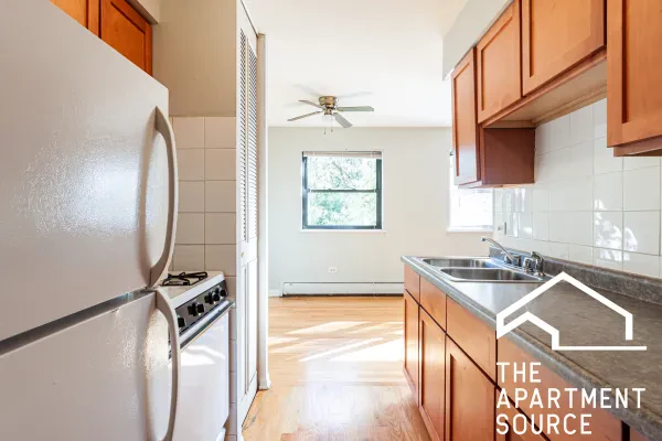 510 West Briar Place #507