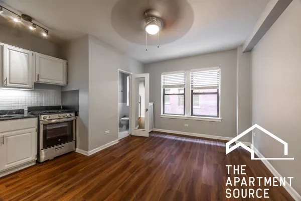1140 North Lasalle Drive #316