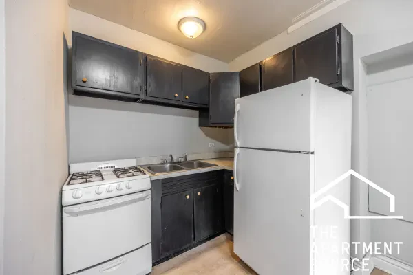 1347 North Dearborn Parkway #202