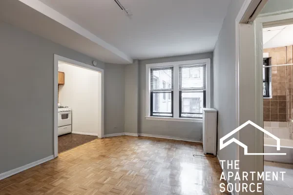 739 West Belmont Avenue #315