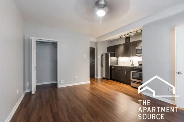 1140 North Lasalle Drive #319