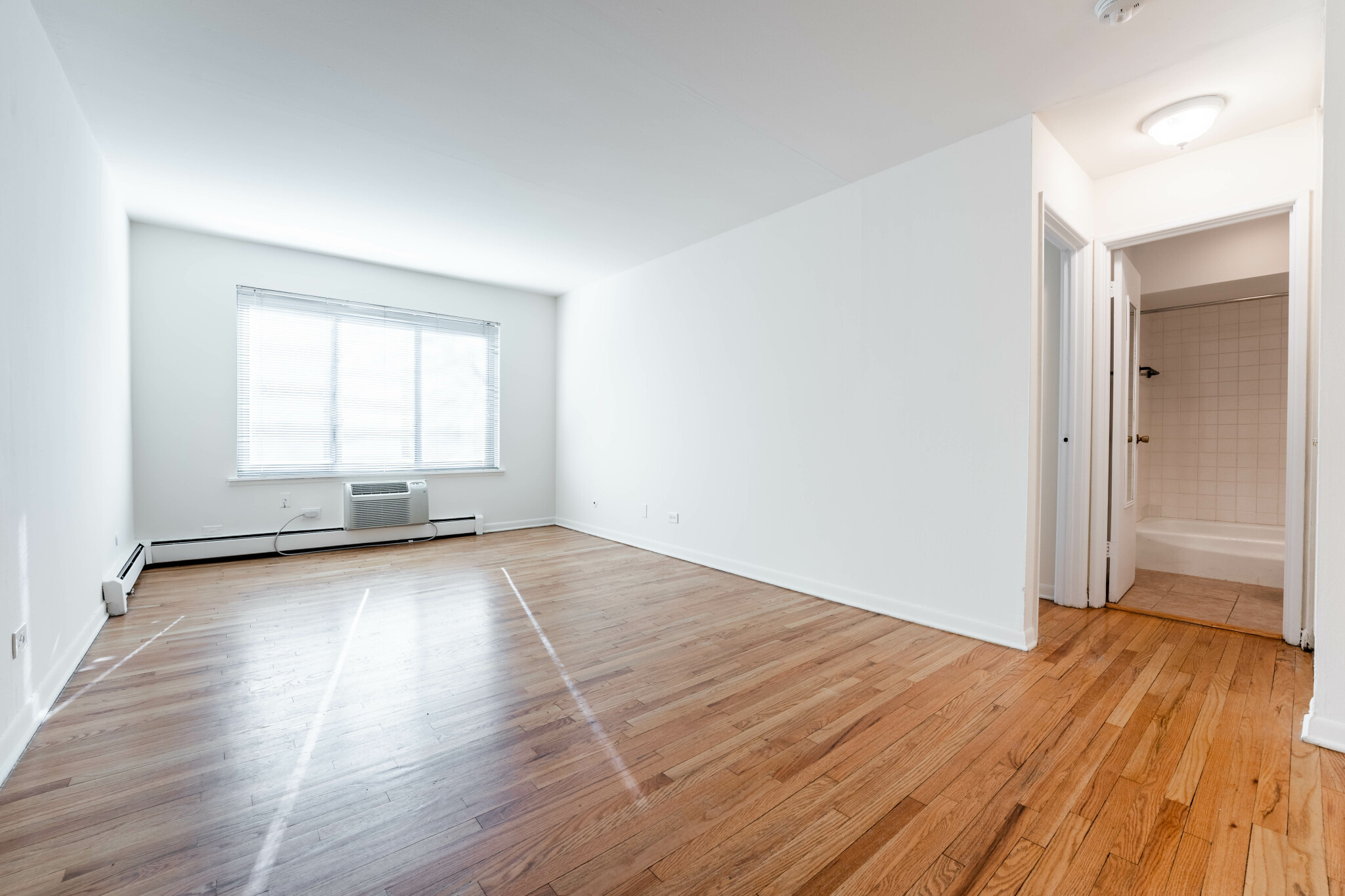 540 West Roscoe Street #276