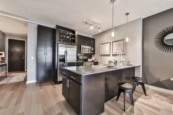 161 West Kinzie Street #1010
