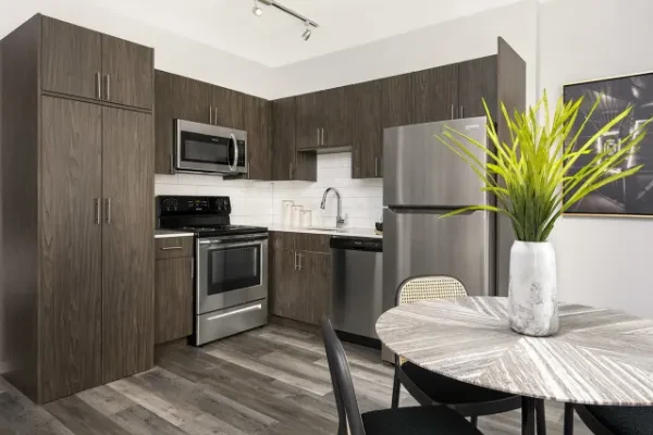 182 West Lake Street #0311