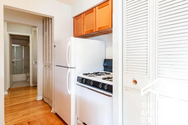 510 West Briar Place #308