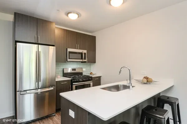 1325 North Wells Street #201